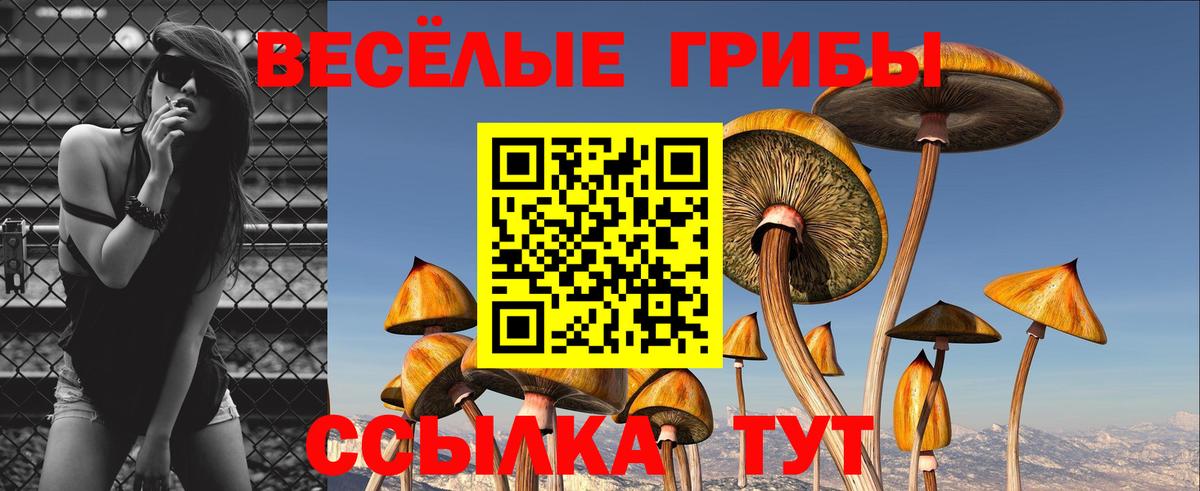 Галлюциногенные грибы ЛСД Домодедово